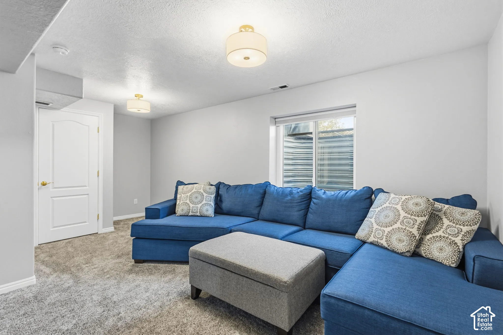 Neutral interior space featuring carpeted flooring, dual drum-style ceiling light fixtures, a white multi-panel door, and a window with a metal egress well