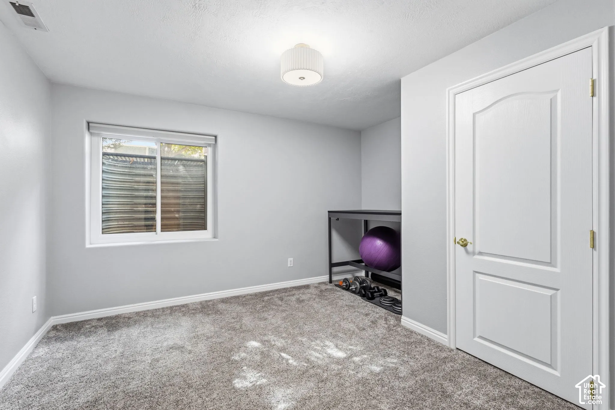 Neutral interior space featuring wall-to-wall carpeting, a sliding window with a window well, a solid-core two-panel interior door, and a flush-mount drum light fixture