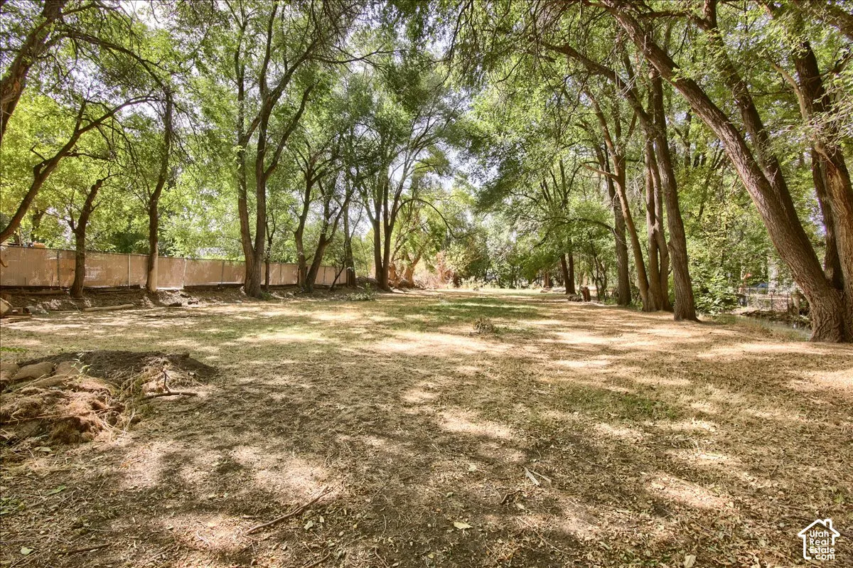 Expansive treed lot with varied ground cover and a perimeter fence