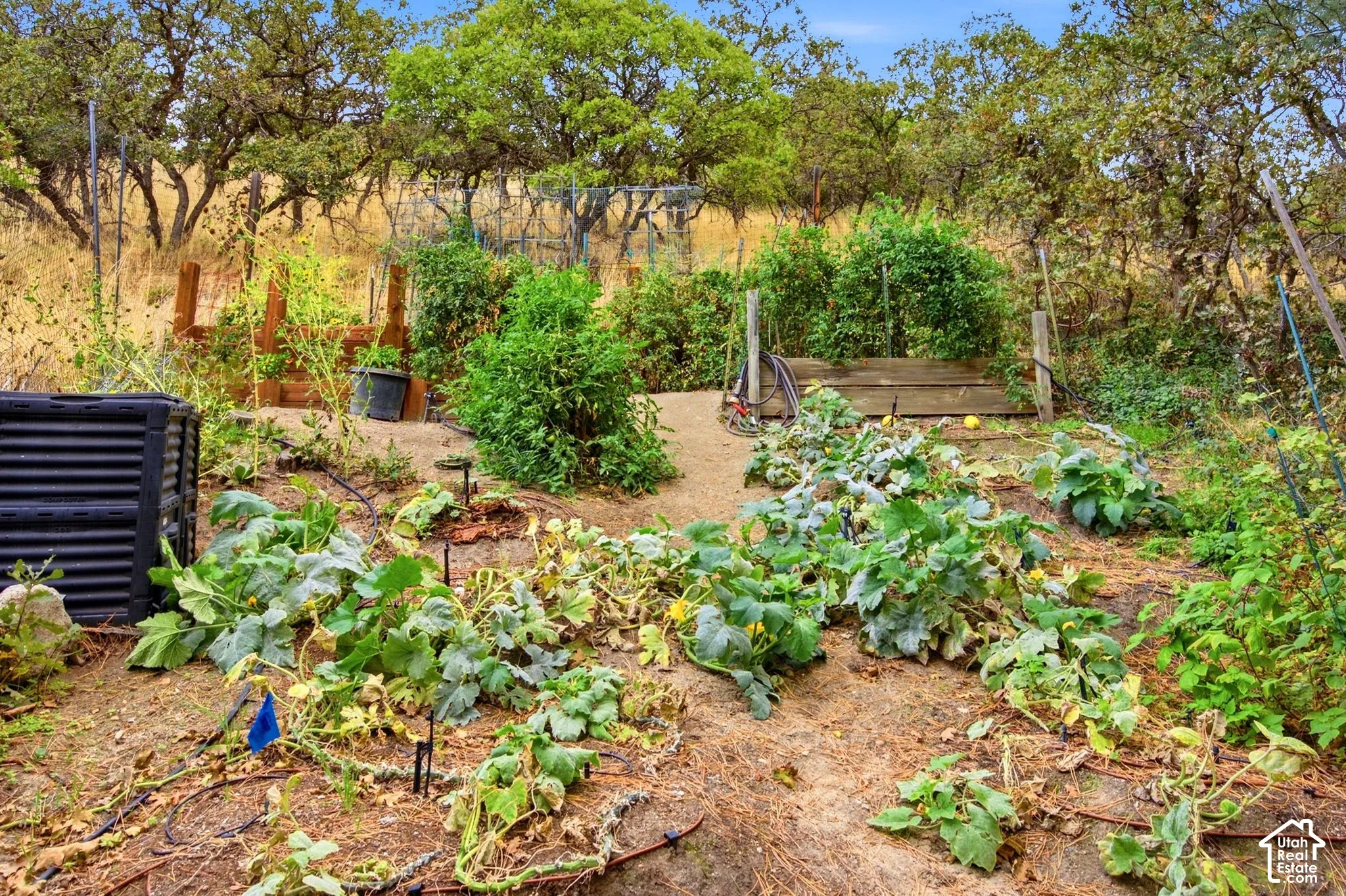 Well established garden area featuring raised timber planting beds, integrated irrigation system, and mature tree canopy backdrop