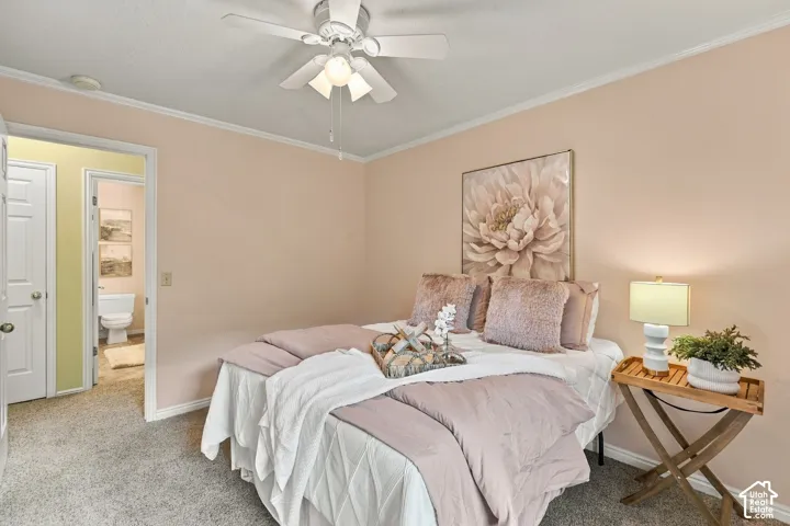 Neutral-toned wall finish, ceiling-mounted light fixture with a three-blade fan, and wall-to-wall carpeting