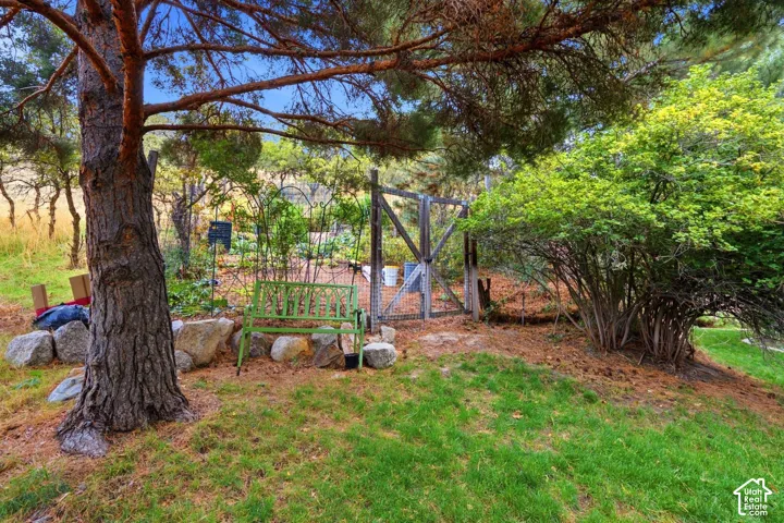 Outdoor space featuring a fenced garden area, natural stone borders, mature pine trees, and established greenery