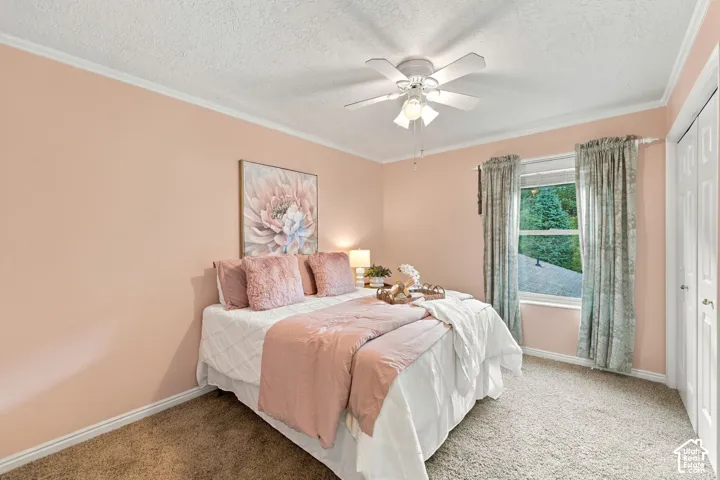 Neutral wall coloring featuring a ceiling fan with integrated lighting, carpeted flooring, a single-hung window, and a multi-panel closet door
