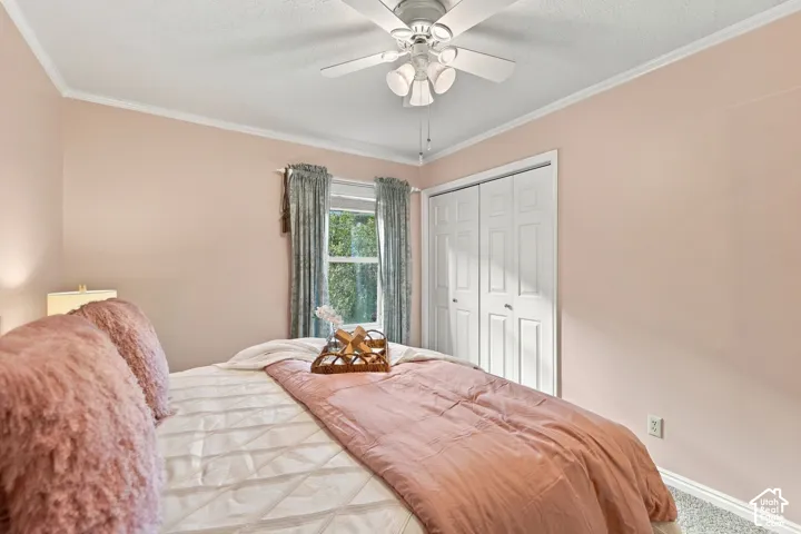 Room featuring a white ceiling fan with integrated lighting, a single window, and a white bifold closet door