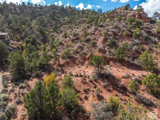 Rugged hillside terrain featuring red earth, indigenous scrub brush, and mature pinyon pine trees
