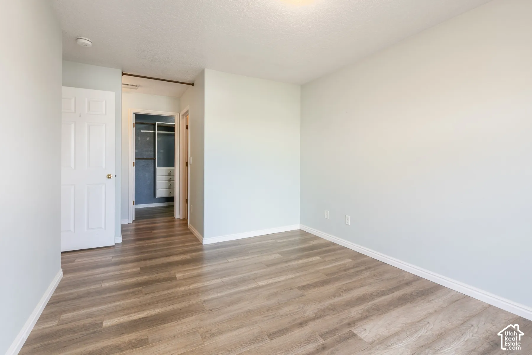Neutral-toned walls, wood-finish flooring, and a walk-in closet featuring built-in shelving and integrated drawer storage
