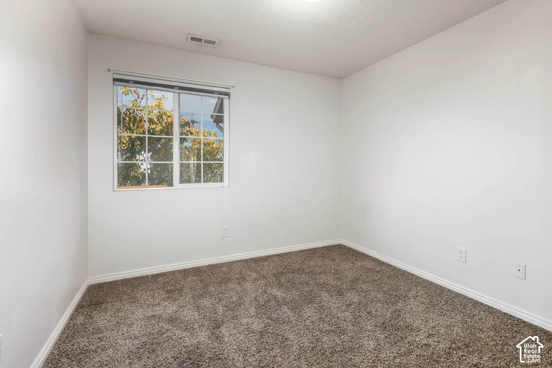 Interior room featuring neutral wall paint, plush carpeting, and a multi-pane window with exterior greenery