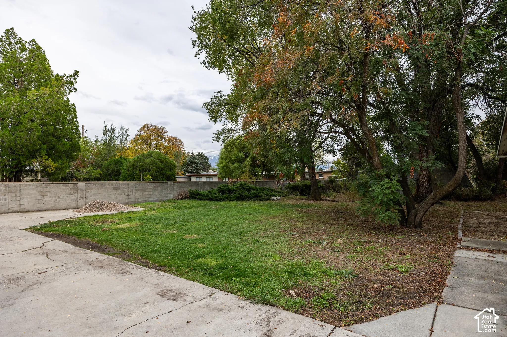 Expansive backyard featuring a concrete patio, a central lawn area, a perimeter concrete masonry wall, and mature trees
