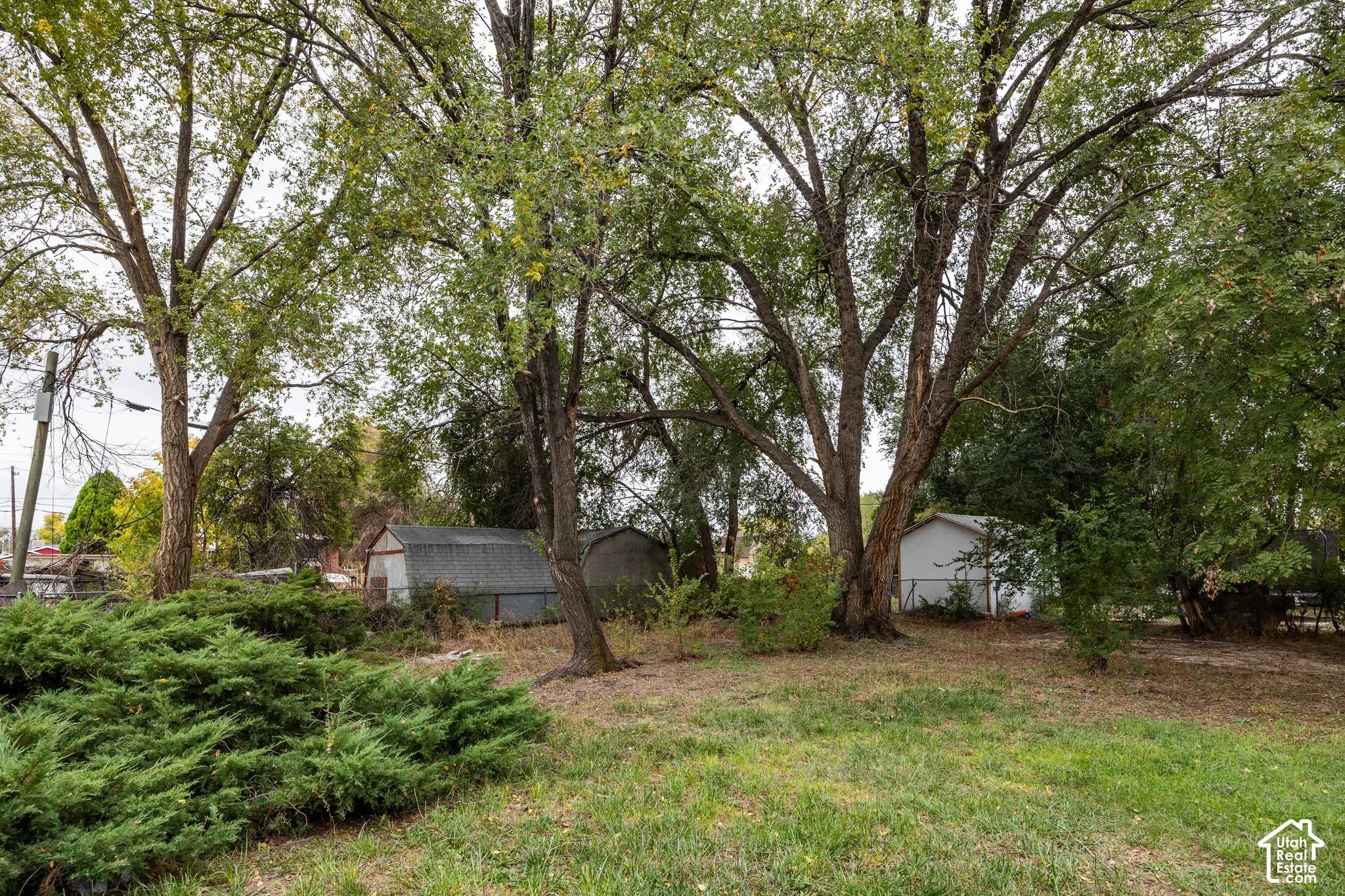 Expansive outdoor space featuring mature deciduous trees, evergreen shrubbery, and two detached storage structures