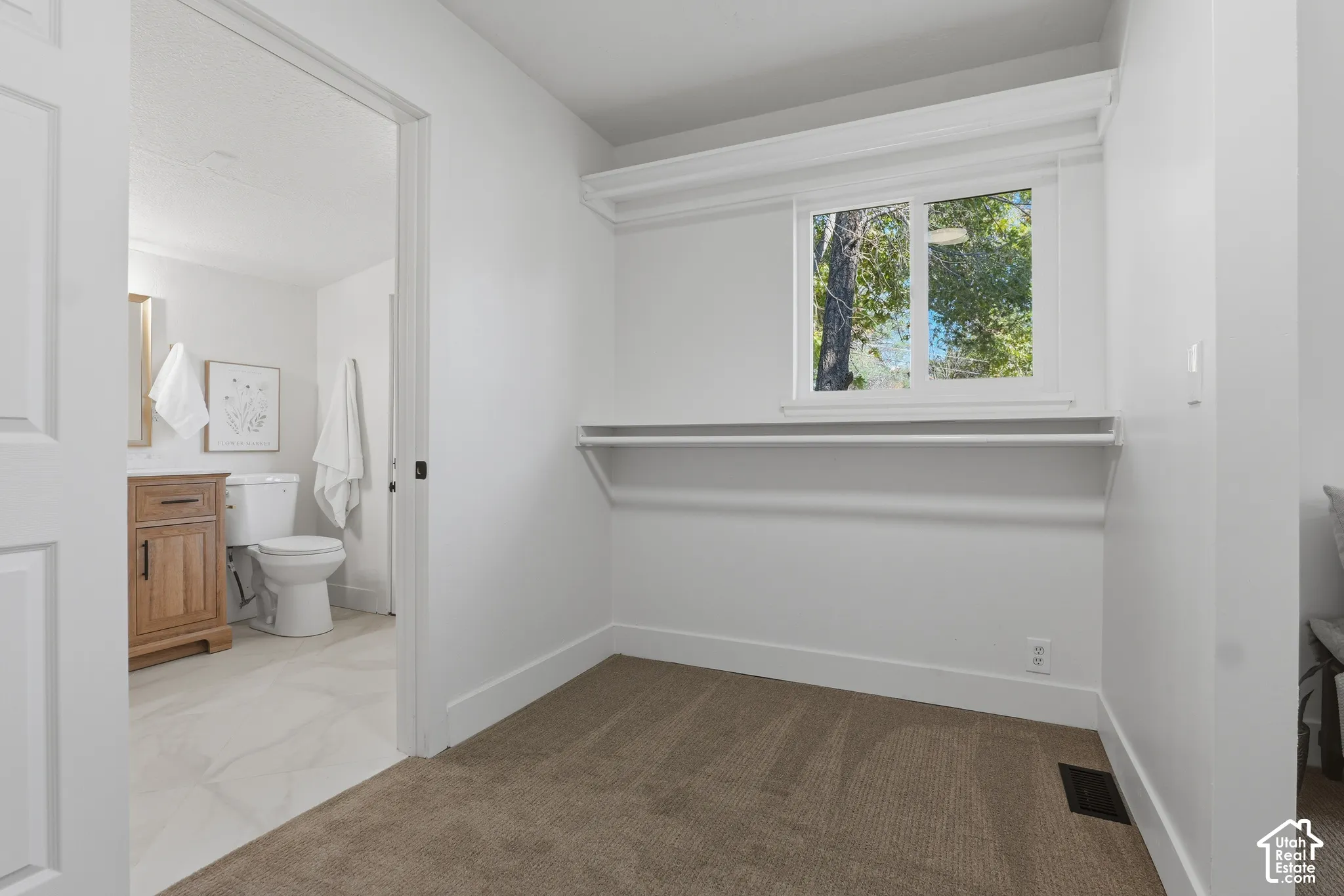 Walk-in storage space featuring neutral carpeting, a built-in shelf, and a hanging rod, with a window providing natural light