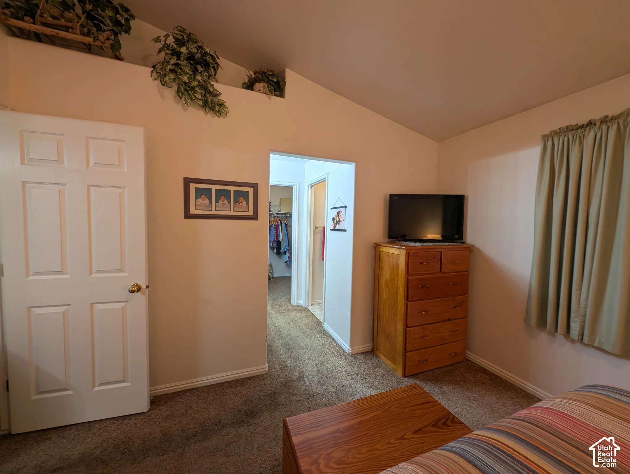 Vaulted ceiling with a built-in decorative ledge, six-panel interior door, and wall-to-wall carpeting