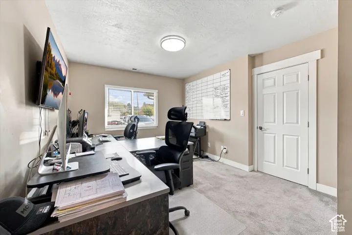 Neutral-toned interior room featuring wall-to-wall carpeting, a single-hung window with a flat casing, and a six-panel door with architectural trim
