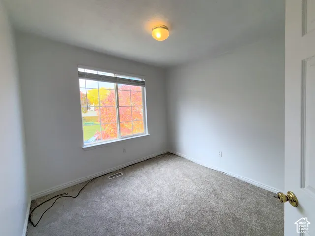 Neutral-toned carpeted flooring, multi-pane window with blinds, ceiling-mounted light fixture, and white interior door with brass-finish hardware