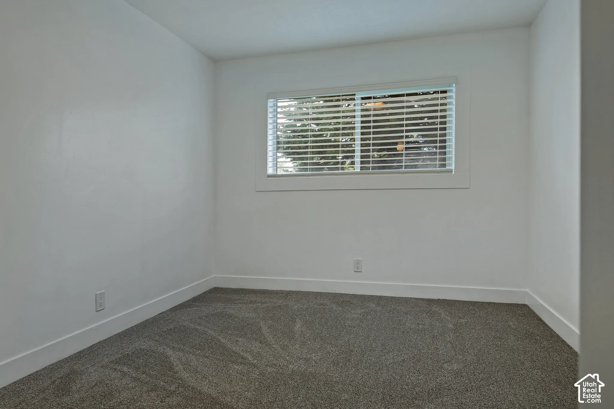 Neutral wall finish, carpeted flooring, and a window with horizontal blinds