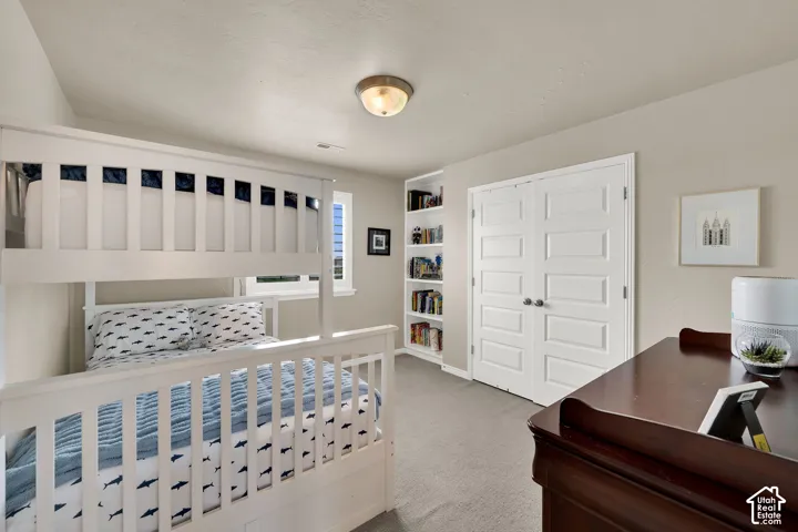Built-in shelving unit, double-door closet, neutral carpeting, and ceiling-mounted light fixture