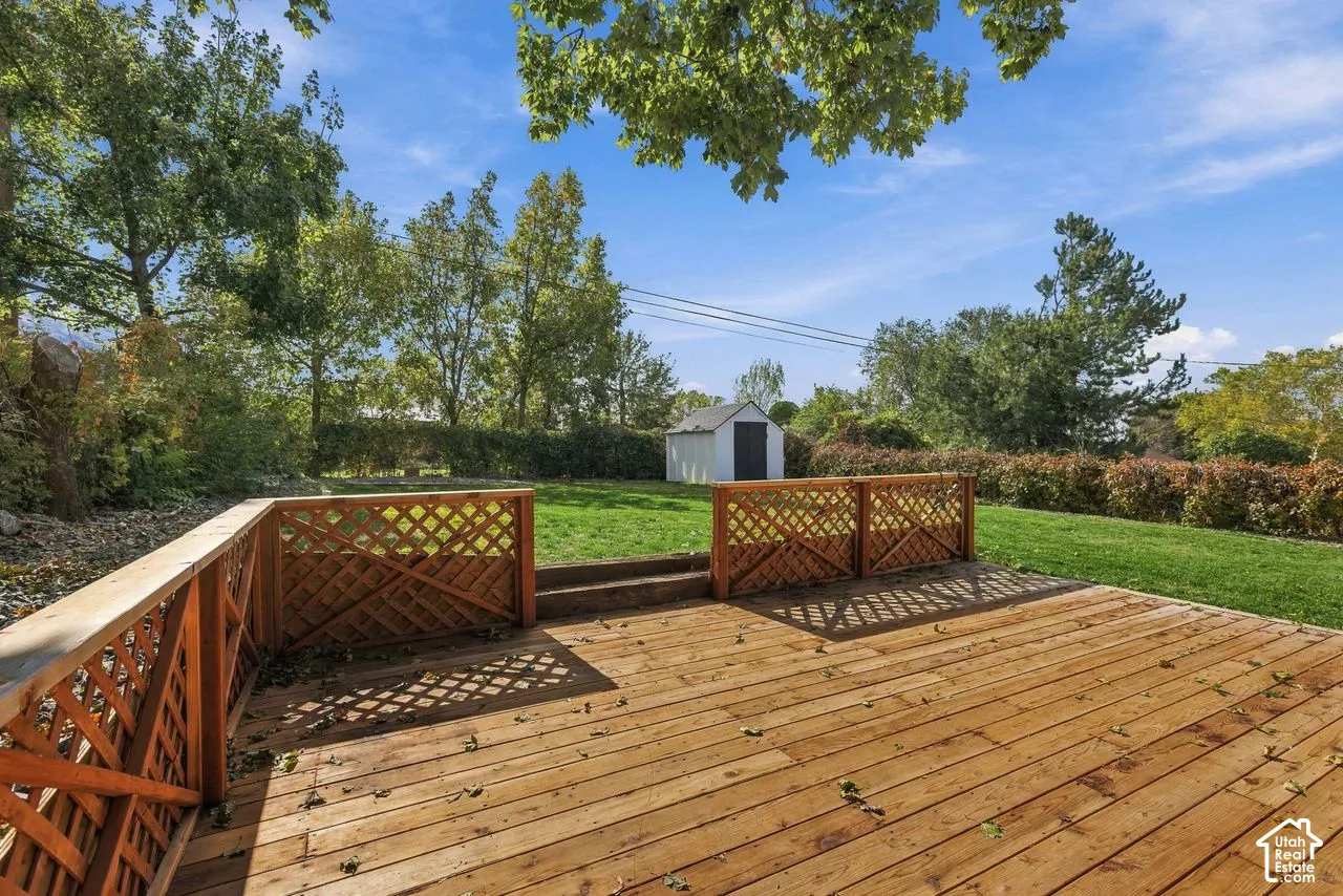 Expansive backyard featuring a wood deck with lattice railings, a manicured lawn, perimeter hedge, and a detached storage shed