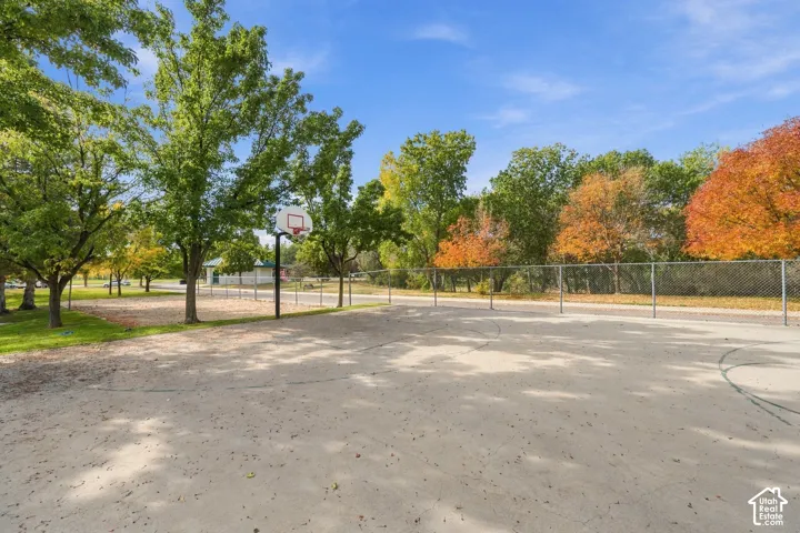 Concrete basketball court featuring an integrated hoop, surrounded by mature trees and perimeter chain-link fencing