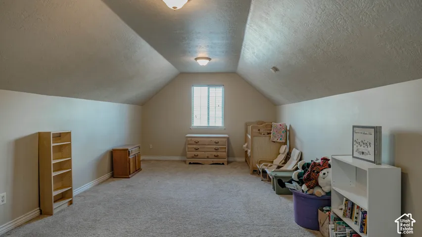 Vaulted ceilings featuring dual flush-mount light fixtures, neutral wall color, and wall-to-wall carpeting