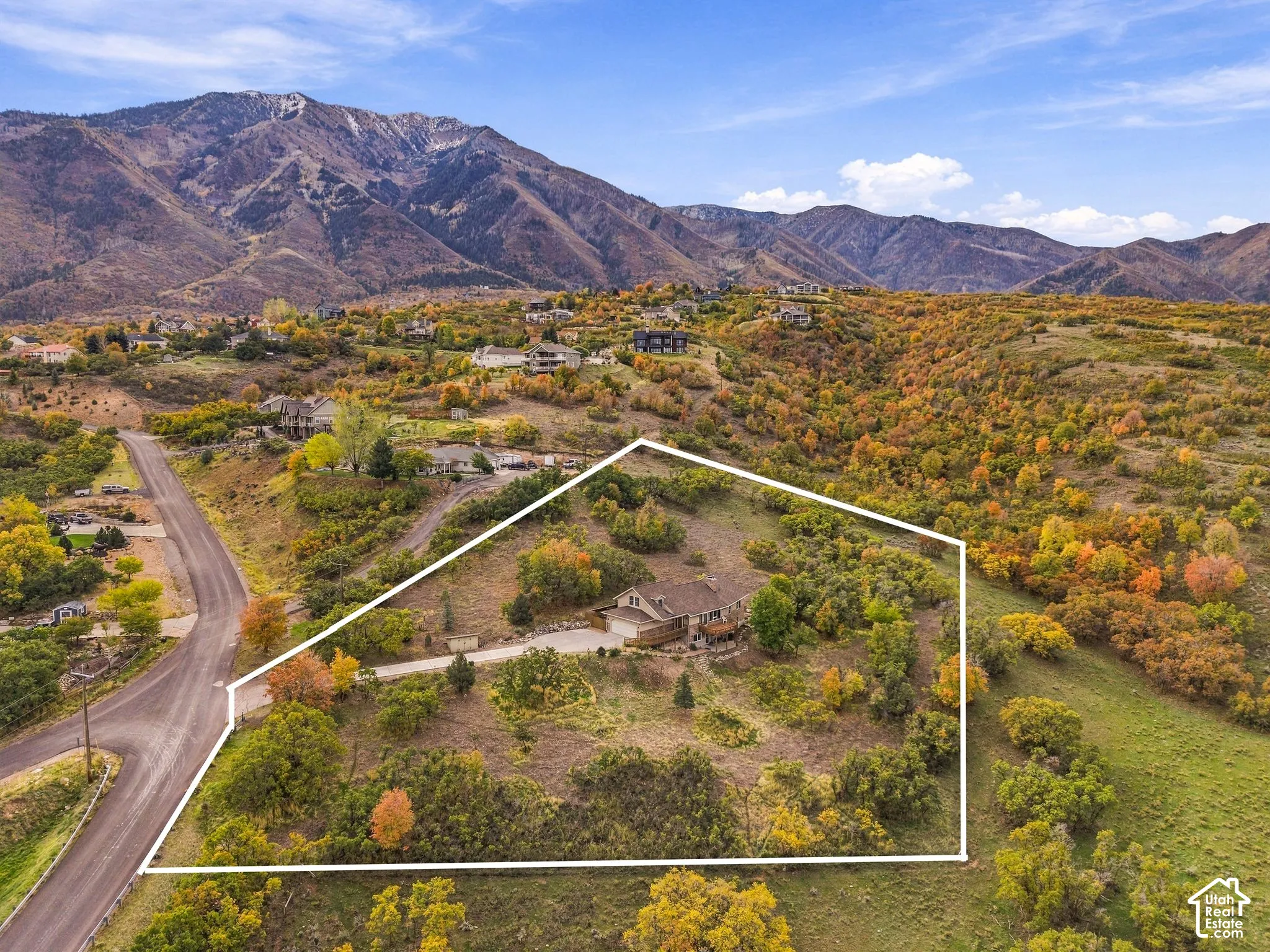 Expansive property lot featuring a concrete driveway, mature trees, natural hillside landscape, and a prominent mountain backdrop