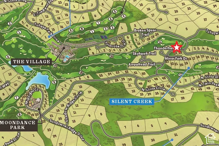 Plat Map. Illustrating the location of the property within the master-planned development