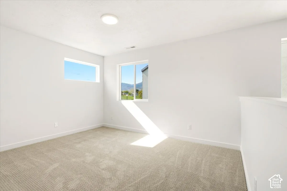 Neutral-toned wall-to-wall carpeting, white walls, dual windows, and flush-mount ceiling lighting