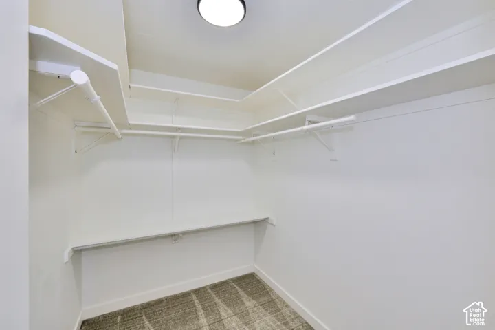 Walk-in closet featuring multi-level built-in shelving, integrated garment rods, neutral wall-to-wall carpeting, and a flush-mount ceiling light fixture