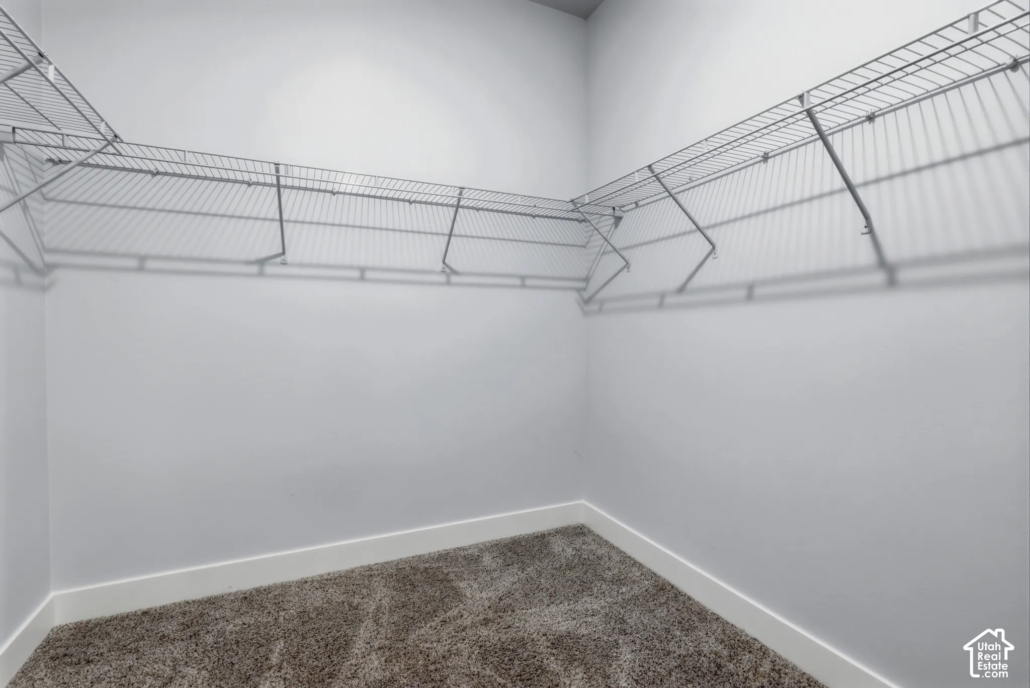Walk-in closet featuring wall-to-wall carpeting and multi-tier wire shelving