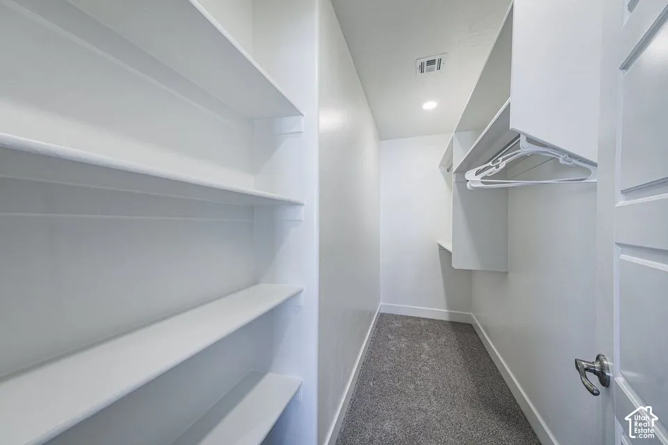Walk-in closet featuring floor-to-ceiling built-in shelving, integrated hanging rods, wall-to-wall carpeting, and a solid-core panel door
