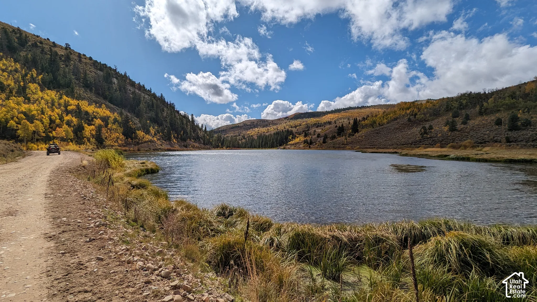 Natural alpine lakefront bordering unpaved road access with mountainous terrain and mature deciduous forest canopy