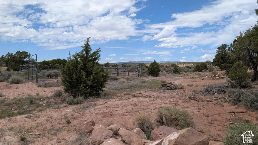 Expansive acreage featuring native desert vegetation, natural stone formations, and a metal perimeter round pen