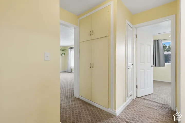 Hallway featuring floor-to-ceiling built-in cabinetry, additional tall storage closet, and wall-to-wall carpeting