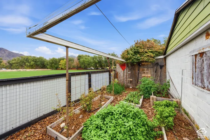 Garden area featuring raised timber planter boxes, wood chip ground cover, and a metal wire trellis system