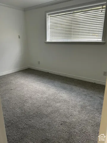 Neutral-toned wall-to-wall carpeting, crisp white walls, and a window with horizontal slatted blinds featuring a simple frame