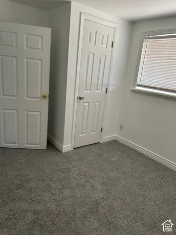 Neutral-toned carpeting, two interior panel doors, and a window with horizontal blinds