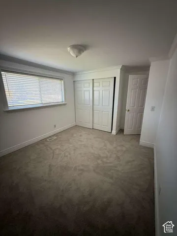 Neutral-toned carpeting, sliding multi-panel closet doors, single-panel interior door, ceiling-mounted dome light fixture, and horizontal blind window treatment