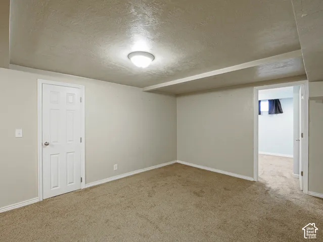 Neutral wall tones, wall-to-wall carpeting, and a flush-mount ceiling light fixture