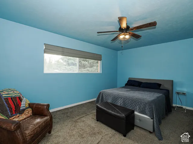 Neutral-tone carpeting, ceiling fan with integrated light fixture, and horizontal window with privacy shade