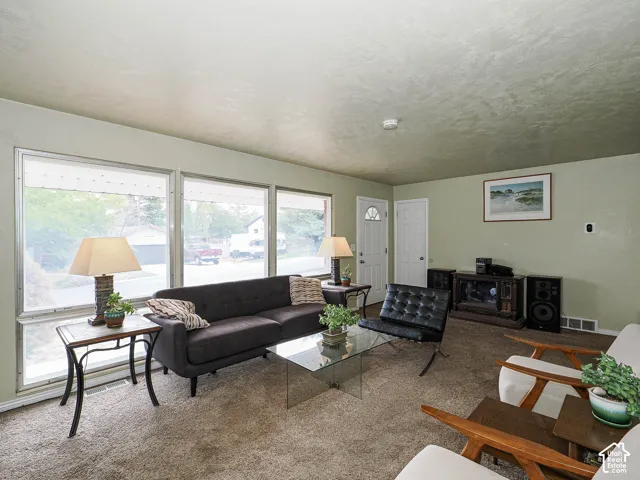 Living area featuring oversized picture windows, neutral carpeting, and a single-panel front entry door