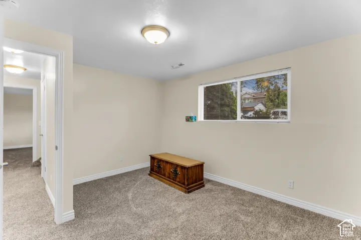 Neutral-toned interior space featuring carpeted flooring, a flush-mount ceiling light, and a horizontal window with installed blinds