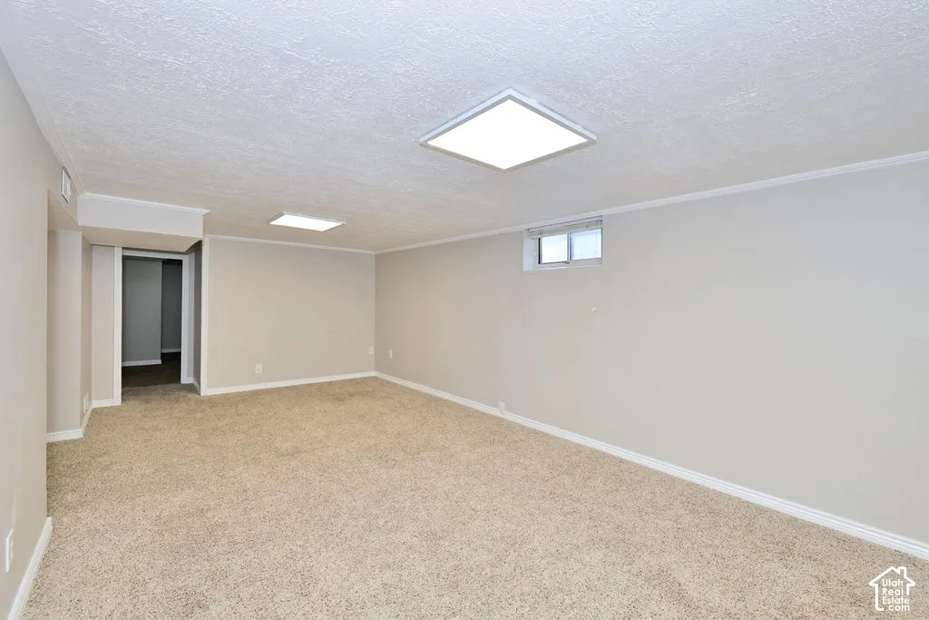 Interior space featuring neutral wall paint, carpeted flooring, a textured ceiling, a rectangular ceiling-mounted light fixture, and an upper wall window