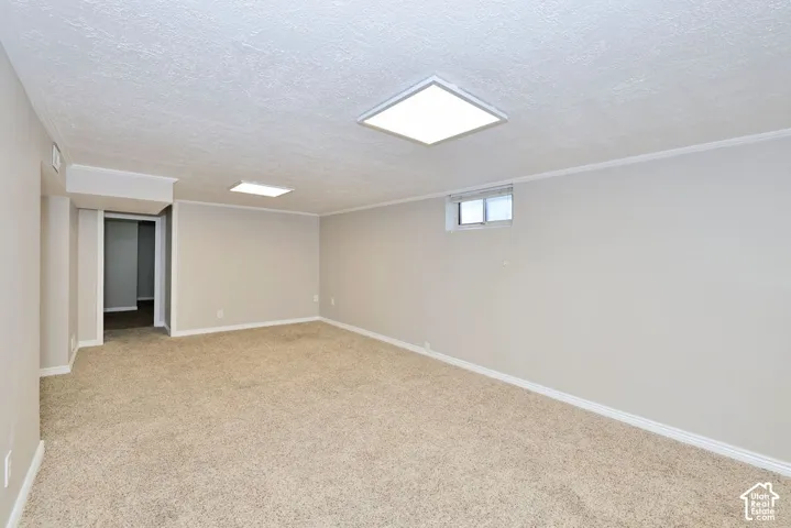 Interior space featuring neutral wall paint, carpeted flooring, a textured ceiling, a rectangular ceiling-mounted light fixture, and an upper wall window