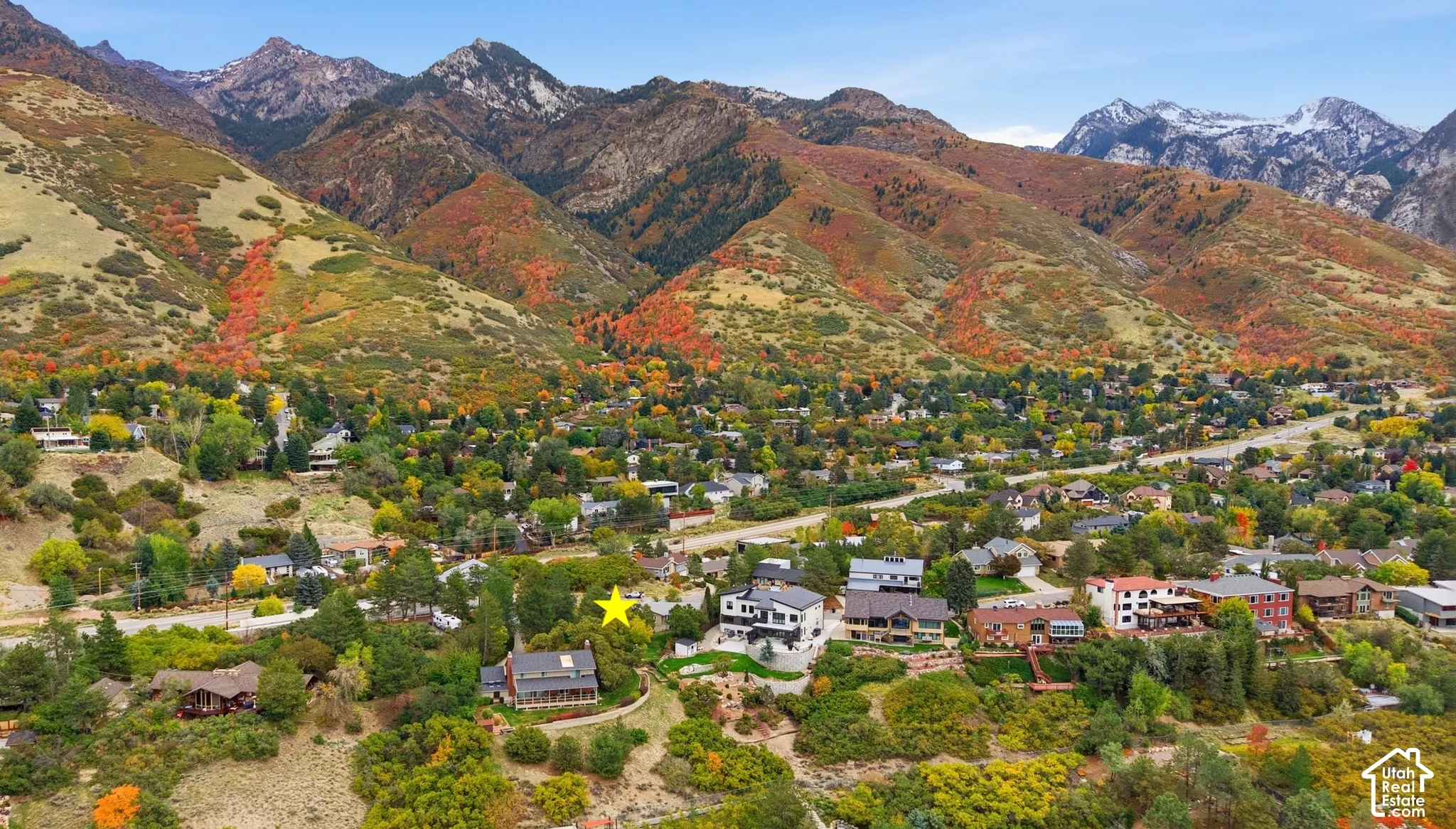 Aerial perspective showcasing the property grounds, mature canopy, and mountainous backdrop
