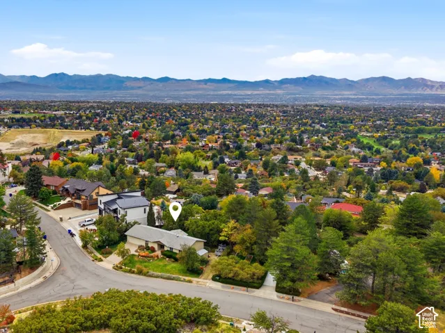 Aerial perspective. Color correction applied.