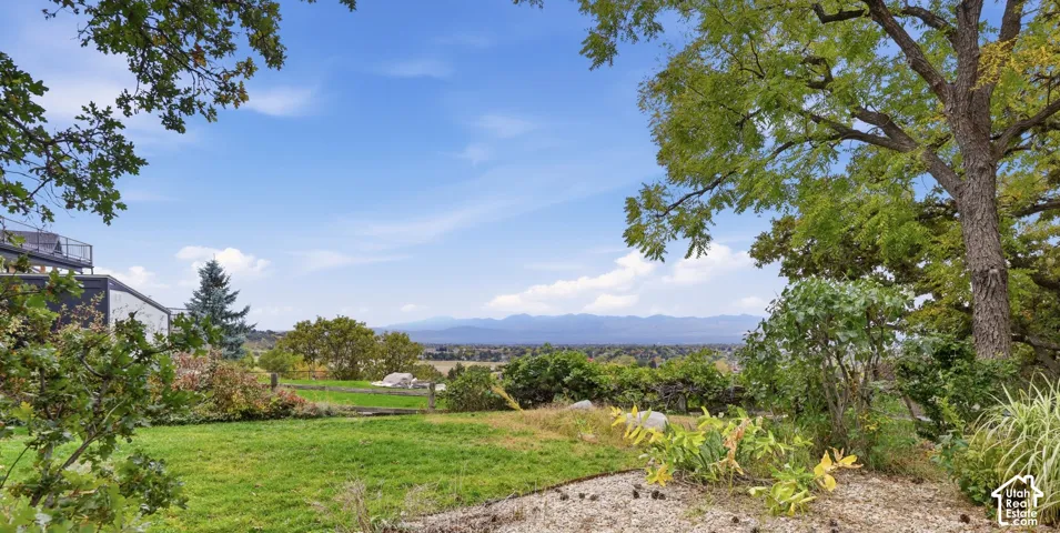 Expansive backyard featuring mature trees, manicured lawn, and mountain/valley scenery.