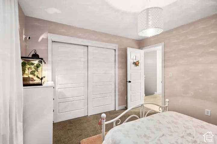 Room featuring carpeted flooring, a sliding-door closet, and a multi-panel interior door with matte black hardware
