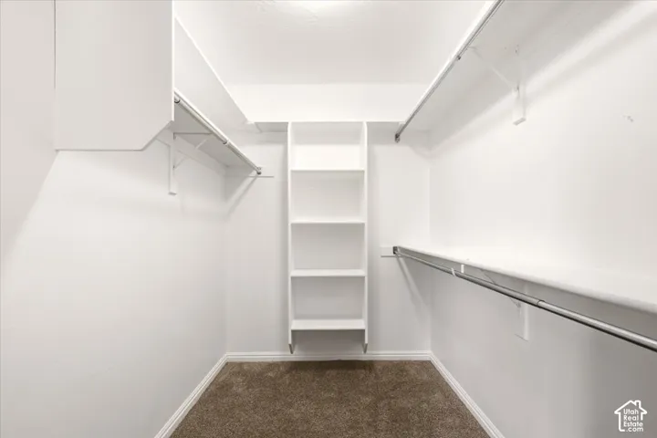 Walk-in closet featuring floor-to-ceiling built-in shelving, dual hanging rods, upper storage ledges, and neutral carpeting