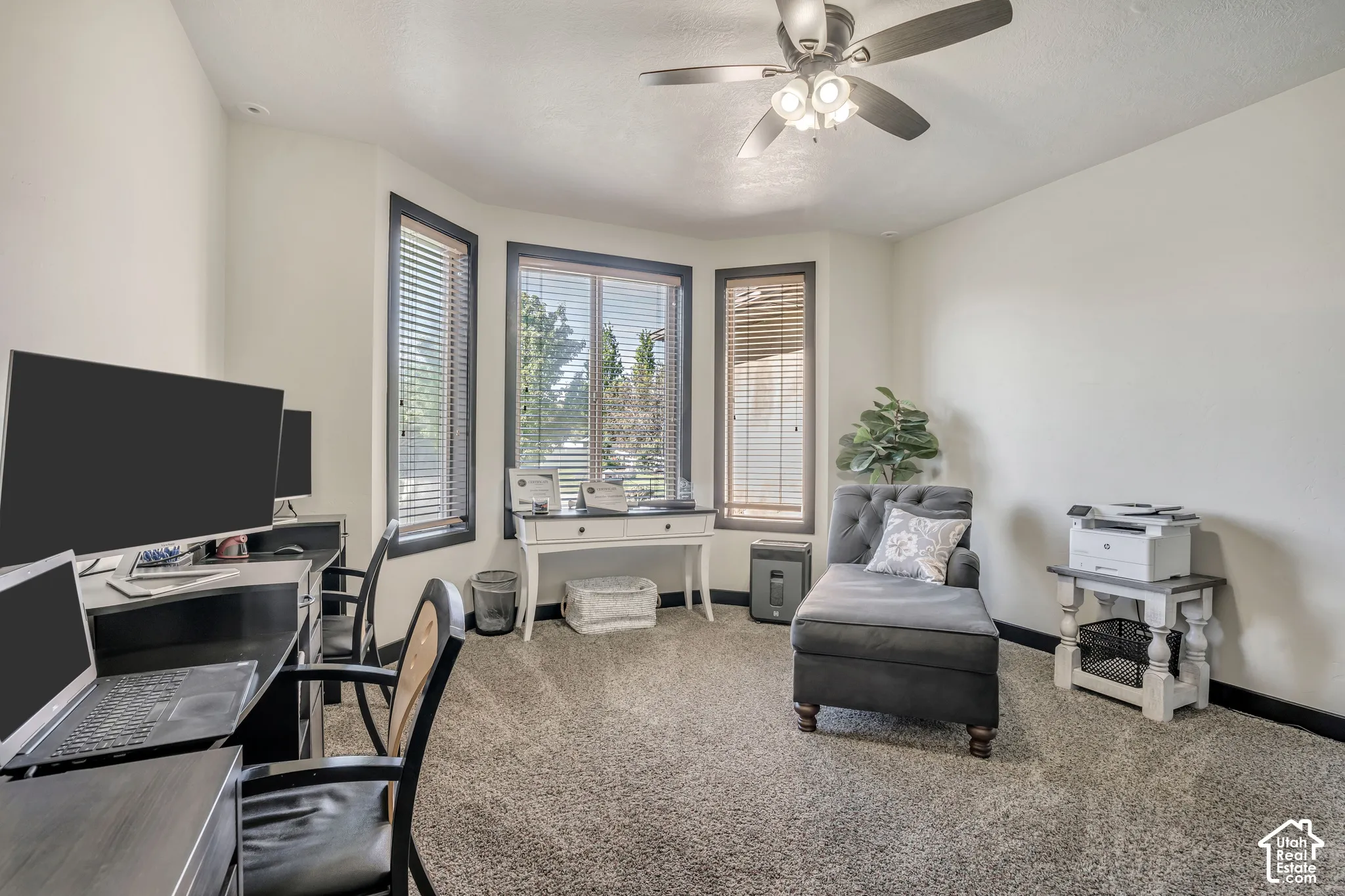 Bay window with dark-toned trim, neutral wall-to-wall carpeting, and a ceiling-mounted light fixture with a central fan