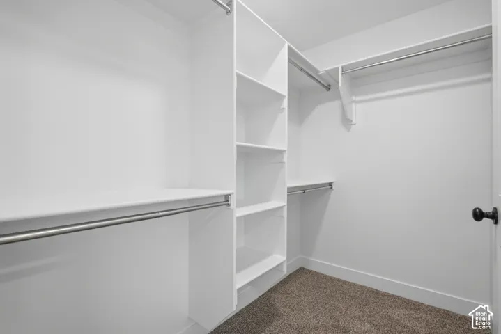 Walk-in closet featuring white built-in shelving, tiered hanging rods, and neutral carpeting
