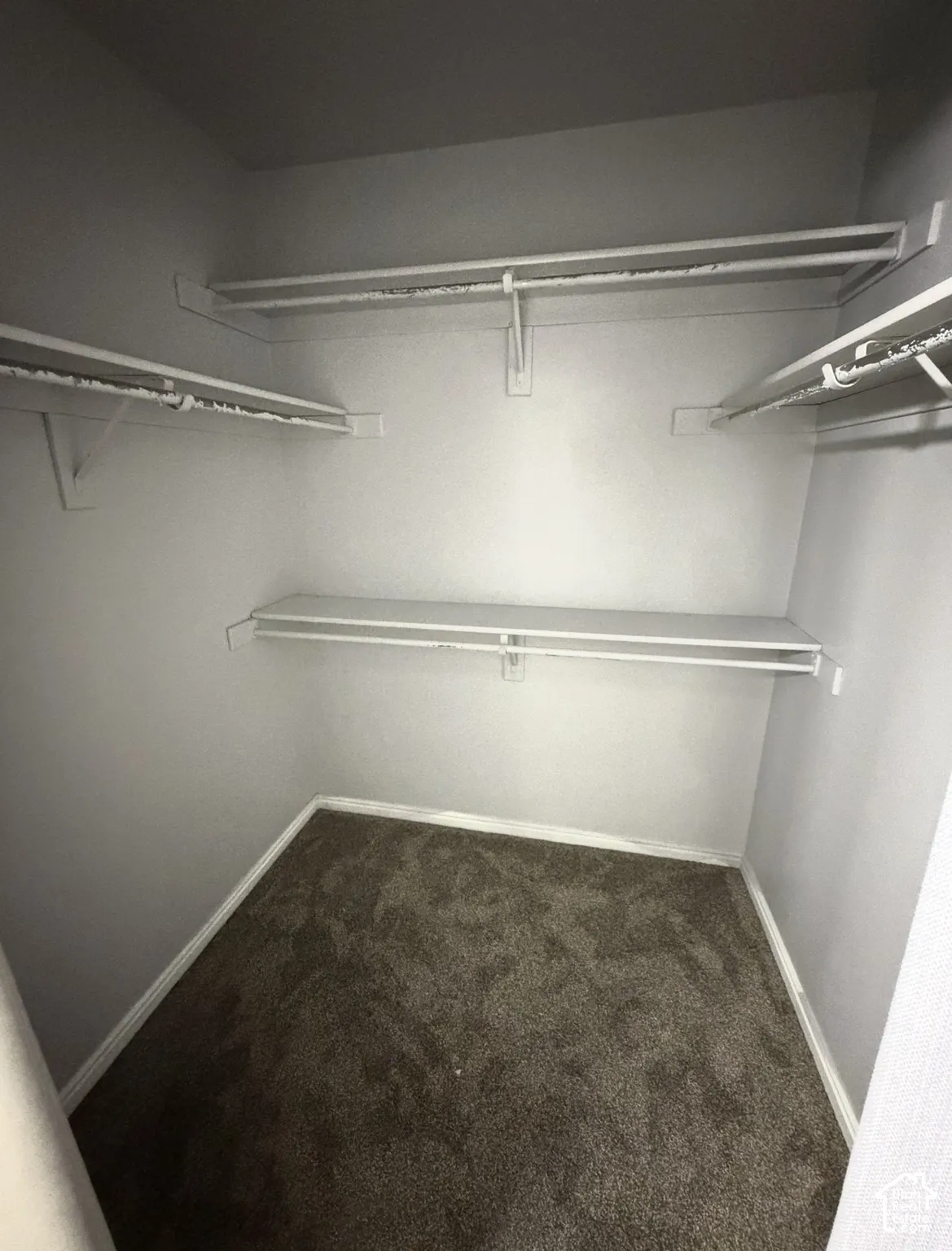 Walk-in storage space featuring multi-level shelving, integrated hanging rods, and wall-to-wall carpeting