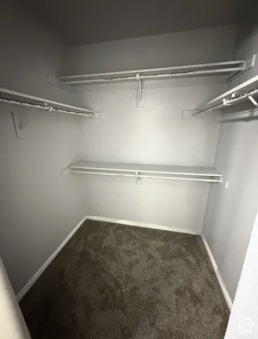 Walk-in storage space featuring multi-level shelving, integrated hanging rods, and wall-to-wall carpeting